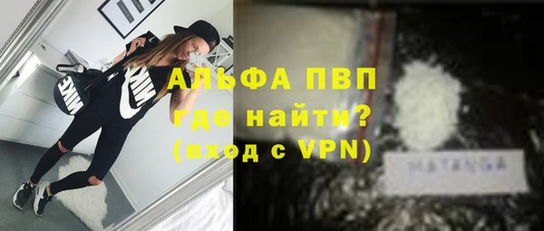 ПСИЛОЦИБИНОВЫЕ ГРИБЫ Иннополис