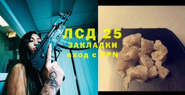 ПСИЛОЦИБИНОВЫЕ ГРИБЫ Иннополис